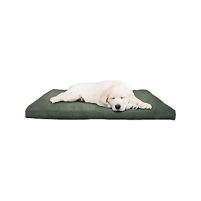 Pet Adobe Foam Covered Dog Bed, Forest, Small
