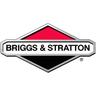 Briggs&stratton - Contiene 5 x 492889 Briggs e Stratton - 4148