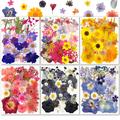 31/34pcs Dried Pressed Flowers Set, Decorative Accessories Set, Resin Natural Dry Flower Scrapbook Samples Embossing, For Diy Crafts Set Decorative Accessories