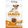 IAMS Junior Hundefutter trocken mit Huhn - Welpenfutter für Welpen im Alter von 1-12 Monaten, geeignet für kleine & mittelgroße Rassen, 12 kg