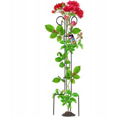KADAX Rankhilfe aus Stahl, freistehende Pflanzenstütze für Rosen, 120 cm Image