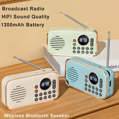Mini haut-parleur Bluetooth portable avec radio FM lecture de carte TF disque BT U boîte de son