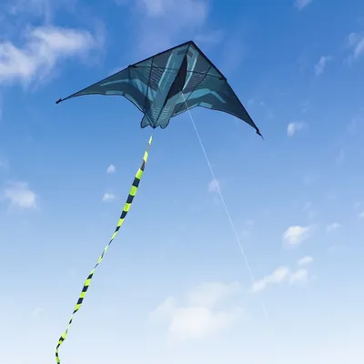 Yongjian 2m Aircraft Kite Delta Kite Suitable for outdoor camping with large adult kites Beach
