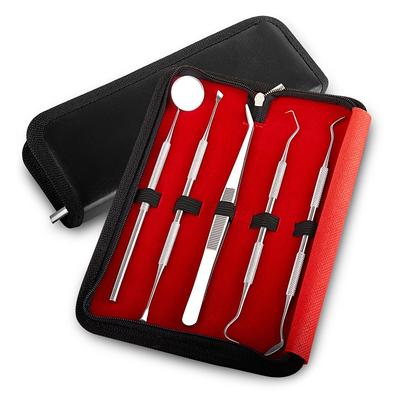 Stainless Steel Dental Tool Set, Oral Care 5-piece Set, Stainless Steel Tweezers Probe Mouth Mirror Tooth Pick Tartar Remover, Tooth Stain And Tartar Endoscope Tooth Protection Set