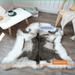 TEMU 1pc, Reindeer Hide Rug, 3.6 Ft X 2.9 Ft Soft Faux Fur Rug, Non-slip Plush Fluffy Deer Rug, Machine Washable, Shaggy Animal Skin Rugs Fluffy Pet Pad For Bedroom Living Room Nursery, White And Grey