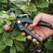 Garden Grafting Tools, Garden Pruning Tools, Grafting Knife, For Plant Branch Vine Fruit Tree Cutting, Pruner Tool Kits