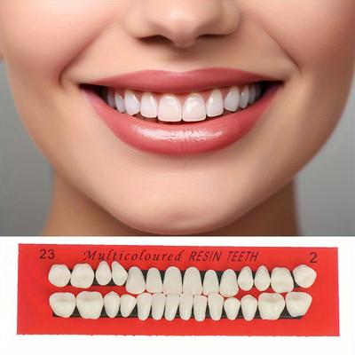 56 Pcs/2 Sets Resin Denture False Teeth, Dental Teaching Model, Resin Denture, Dental Supply Accessory Teeth Teaching Model