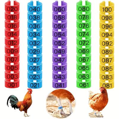 100pcs Chicken Leg Rings With 5 Colors, Chicken Le...