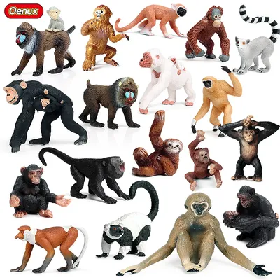 Oenux Simulation Wild Animal Chimpanzee Orangutan Gorilla Tree Sloth Monkey Model Action Figures