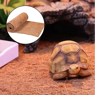Reptile+Supplies