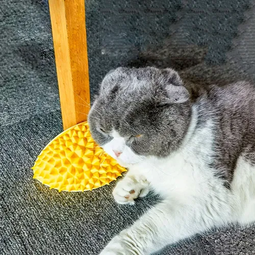 Durian Molar Slow Food Kratz kamm 2-in-1 Haustier kamm für die Katzen pflege Zahnpflege Haustier
