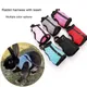 Imbracatura con guinzaglio Set per conigli Gilet traspirante per animali domestici per furetti di coniglio Cavia Scoiattolo Imbracatura morbida regolabile per piccoli animali domestici