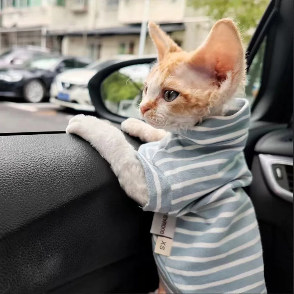 Weiches Haustier-T-Shirt für Sphynx-Katzenkleidung im Frühling, warmer, gestreifter Fleece-Overall für Kätzchen, Hunde, kurzärmeliges Hemd Devon Rex Image
