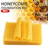 10 Pcs New Bee Wax Foundation Bee Hive Wax Frames fogli di Base Bee Comb Honey Frame fogli di cera