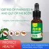 Parrots and pigeons deworming feather lice roundworms fleas and lice deworming inside and