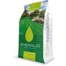 Emerald - Semi di erba per prato soleggiato a foglia fine - da 5 kg - turf innovation