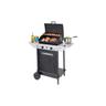 Barbecue gas 2 bruc. + fornello cm.44,5x34,5 'xpert 100 ls+rocky' - bracere cm.44,5x34,5 1 pezzi