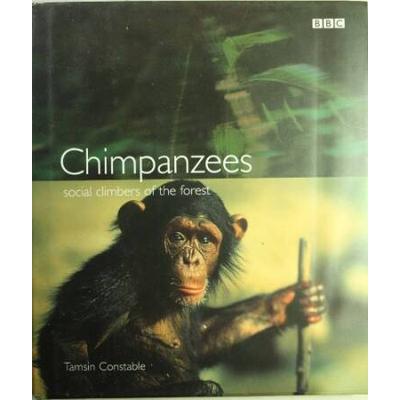 CHIMPANZEES SOCIAL CLIMBERS OF FOREST