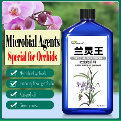 Orchid special nutrient liquid fertilizer hydroponic potted flowers to promote flowering and rooting