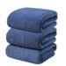 Yhmxh 3 Pcs Coral Velvet Absorbent Bath Towel For Adult Daily Use At Home Super Soft Quick-drying That Does Not Hair Beach Towel Strip Patterned Bath Towel for Gym Hotel Camp Pool(29.5 *13.8 Blue)