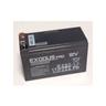 Batteria al piombo 12V 9Ah High Rate Exodus Pro Special Booster