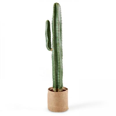 Künstliche Kaktuspflanze, Höhe: 113 cm, Oà¯ko Grün