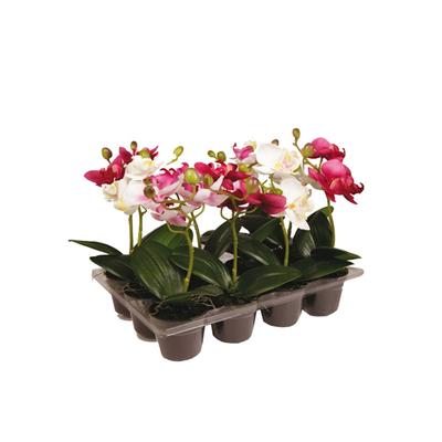 Set mit 12 künstlichen Orchideen H20, Rosa