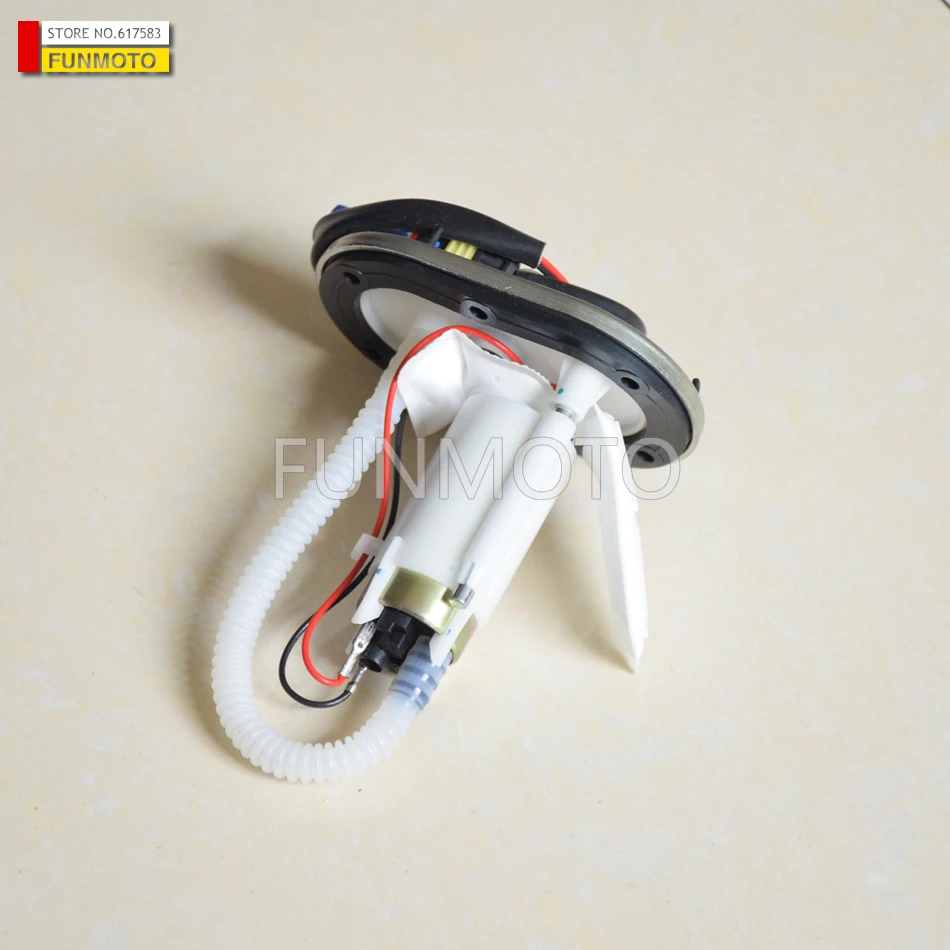 Fuel Pump suit for Pentora200EFI ATV