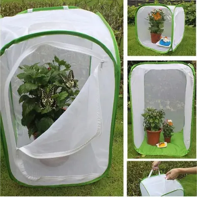 Collapsible Insect Cage Mesh Habitat Bird Butterfly Mantis Stick Grid Breeding Cricket Net Cloth