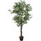 Vidaxl - Albero di Ficus Artificiale 1008 Foglie 180 cm Verde