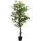 Vidaxl - Albero di Ficus Artificiale 756 Foglie 150 cm Verde
