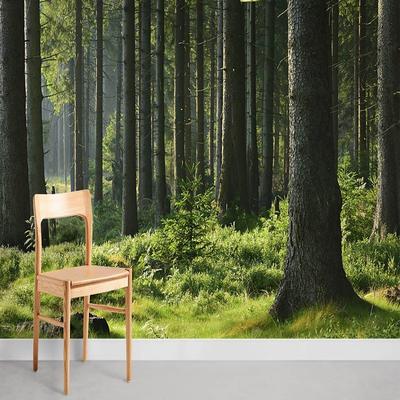 Landscape Wallpaper Mural Green Forest Wall Covering Sticker Peel and Stick Removable PVC/Vinyl Material Self Adhesive/Adhesive Required Wall Decor for Living Room Kitchen Bathroom