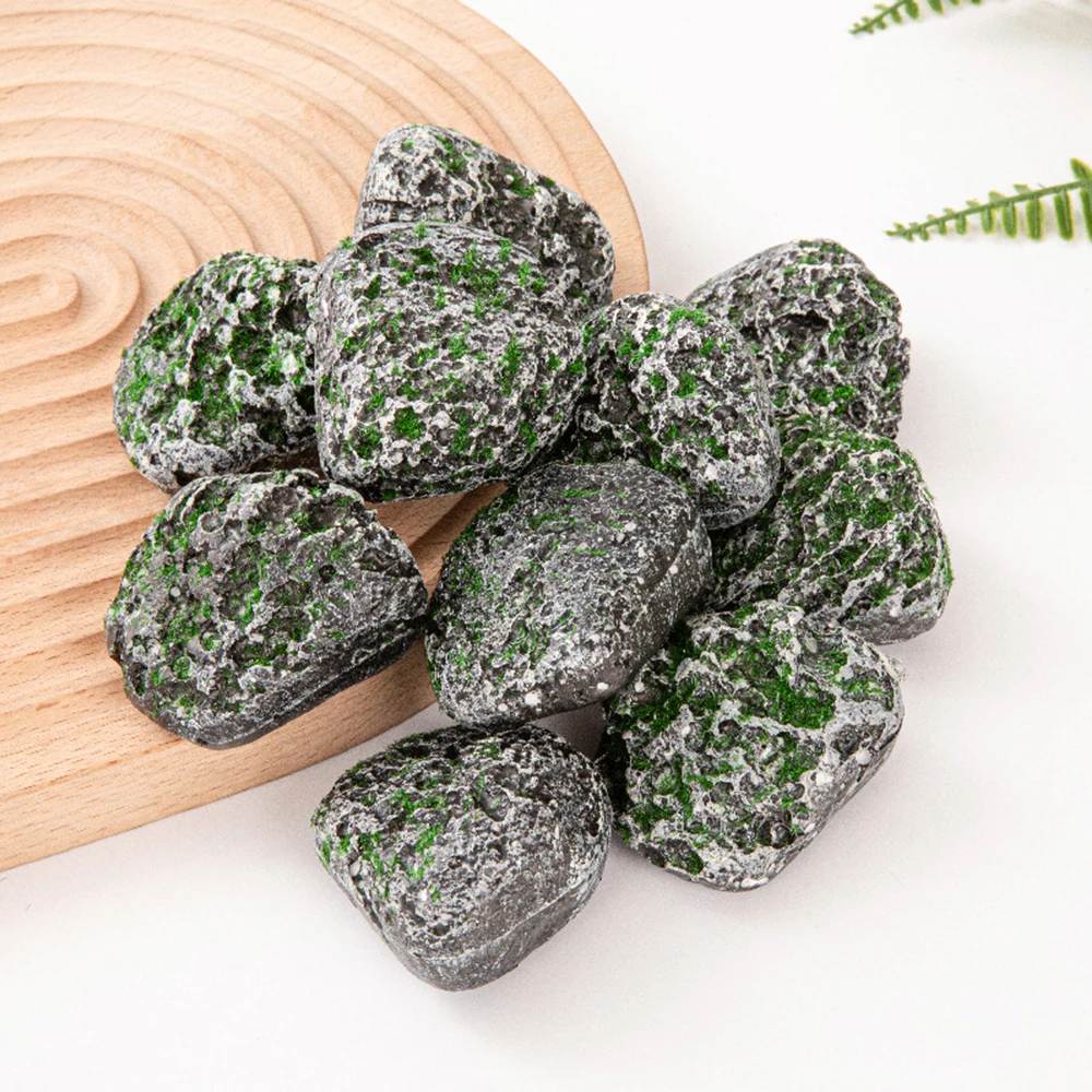 10PCS Mossy Grey Stone Multi-förmige Pflanzmoosblöcke DIY Simulation Grünpflanzen für Gartendekoration Image