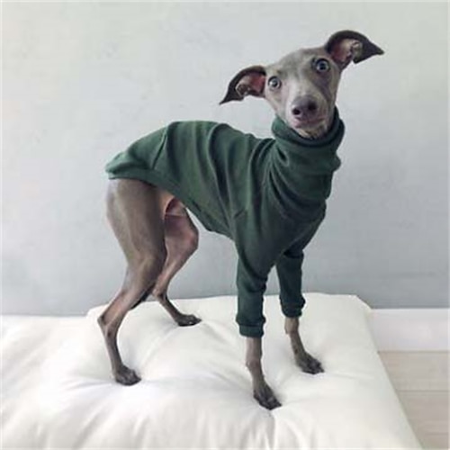 Hund Katze Hemd / T-Shirt Mode Niedlich Atmungsaktiv Weich Waschbar Bequem Outdoor Alltagstauglich Hundebekleidung for Bichon Frise Zwergspitz Baby Haustier Papillon Klein Image