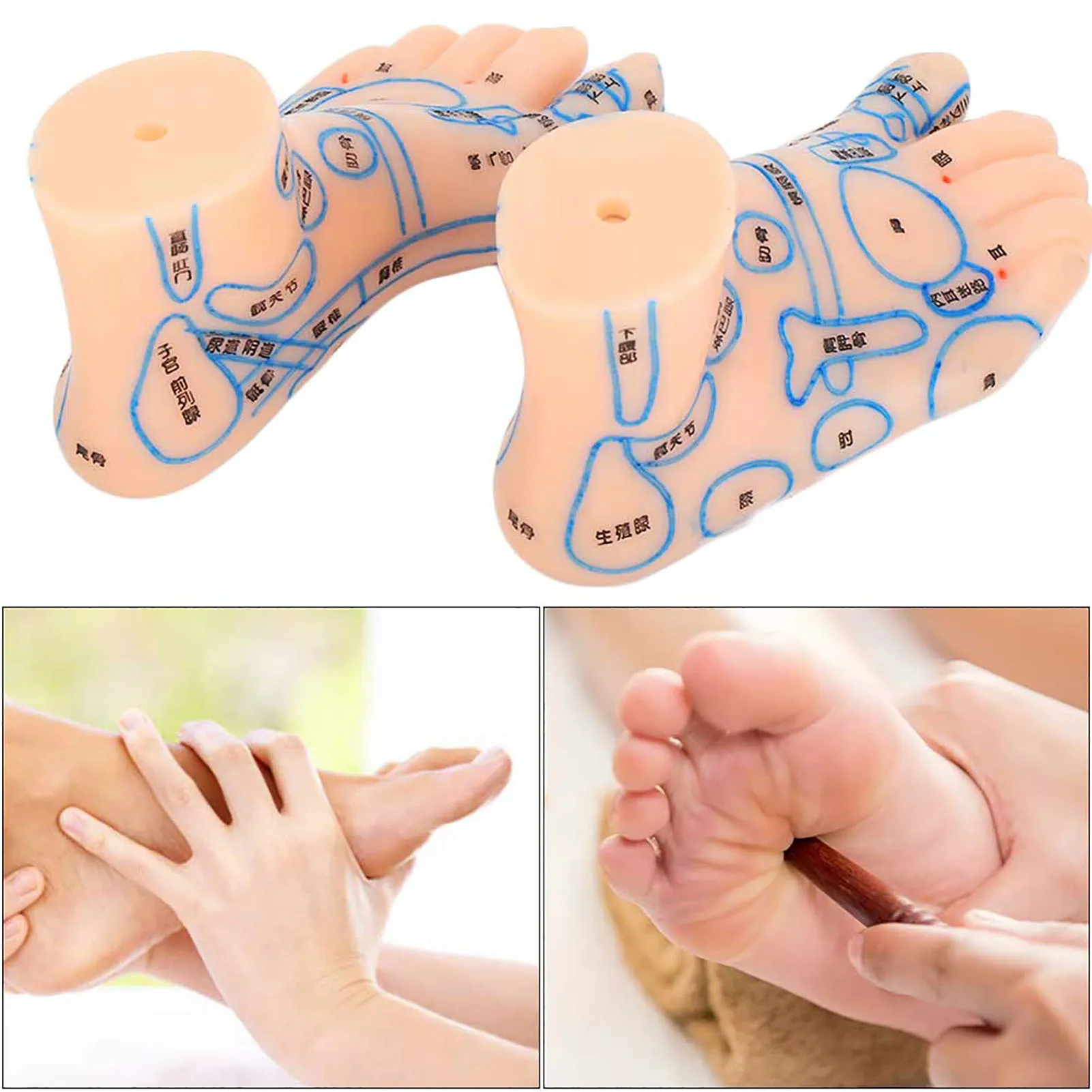 1 Paar 15cm Fuß reflex zone Massage modell nicht Akupunktur modell chinesischer und englischer Code tcm Fuß reflex zonen massage Image