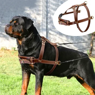 Echt Leder Hund Harness Pet Ausbildung Produkte Starke Ziehen Harness Weste Für Große Hunde Deutsch Image