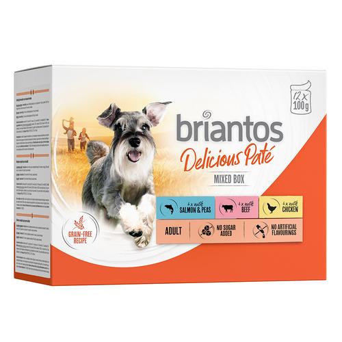 Sparpaket Briantos Delicious Paté 48 x 100 g - Mixpaket (Huhn, Rind & Lachs)