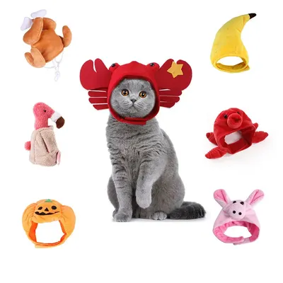 Pet+Costumes