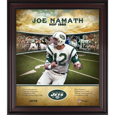 Joe Namath New York Jets Hall of Fame Karriereprofil, gerahmt, 15 x 17 Zoll Image