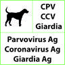 Test rapido veterinario CPV+CCV+Giardia per Parvovirus, Coronavirus, Giardia - 10 test