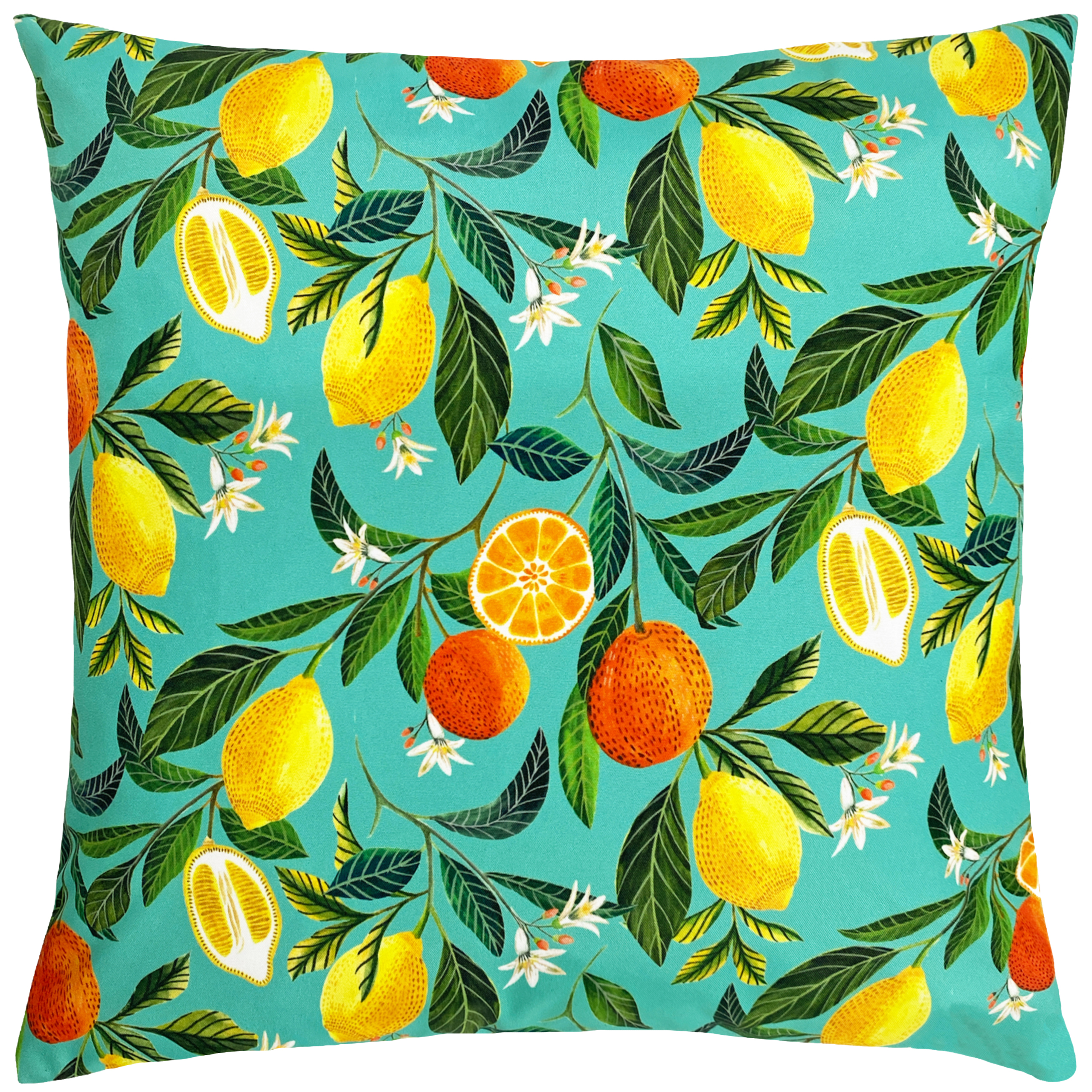 Evans Lichfield Orange Blossom Cushion Cover - Blue - One Size | Evans Lichfield Sale | Discount Designer Brands
