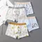 4pcs Boys Underwear Kid Flat Angle Underwear 2-14 Year Old Student Cartoon Penguin Underwear Pure