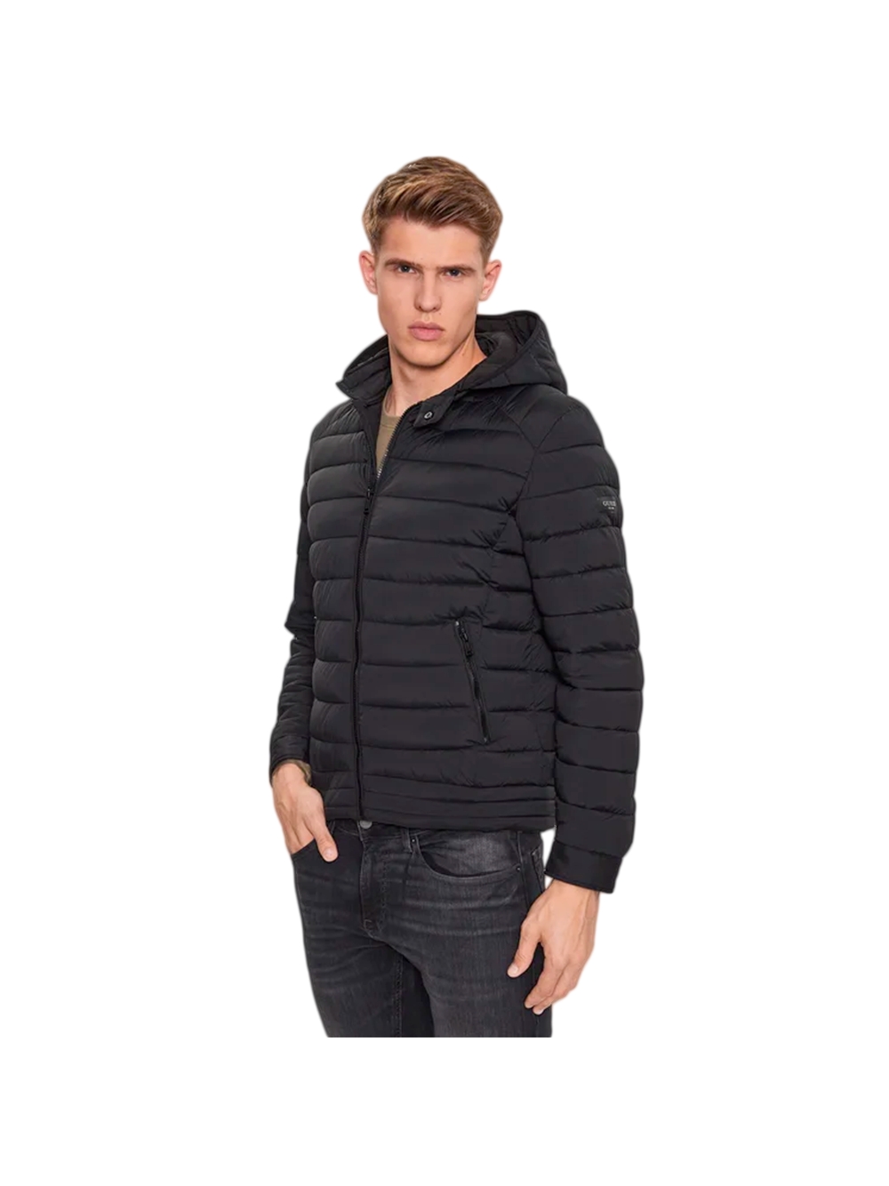 Doudoune Guess Herren klassisch