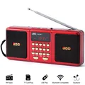 Altoparlante wireless radio FM stereo portatile Supporto batteria ricaricabile Scheda TF