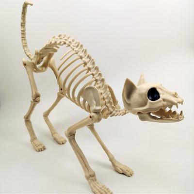 Skeleton Model, 3D Animal Sculpture Resin Crafts, for Pose Skeleton Prop Indoor/Outdoor, Halloween Decoration