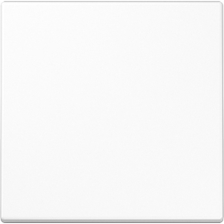 Jung Wippe LS 101 WW LS101WW Image