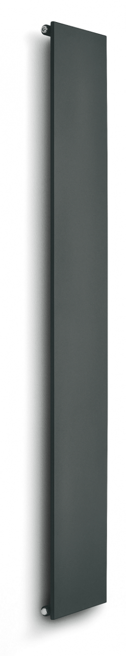 Caleido ice vertikal einlagig Badheizkörper B: 390 mm x H: 2020 mm FICE20380SV-6016 Image