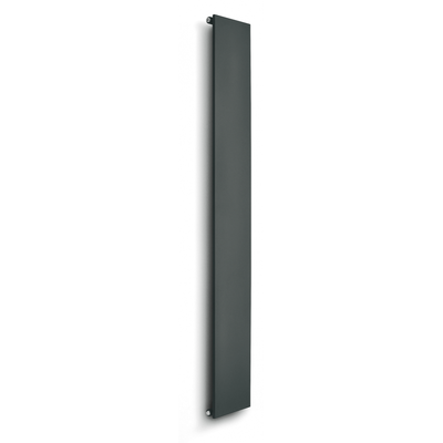 Caleido ice vertikal einlagig Badheizkörper B: 390 mm x H: 2220 mm FICE22380SV-9001 Image