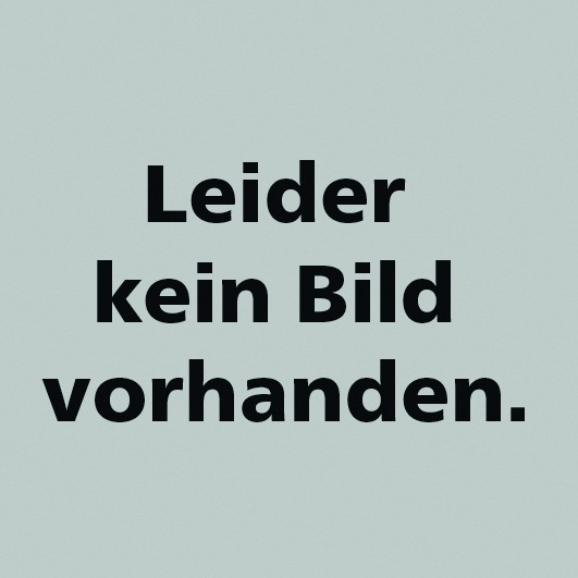 Hebel kompl LUNA-E, Z537892700 Z537892700 Image