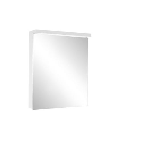 Schneider Spiegelschrank ADVANCED Line Ultimate TW 50/1/TW/L, silbereloxiert, 188.051.02.50 188.051.02.50